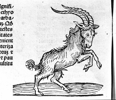 Le Capricorn - in Treatise by Johannes Angeli De Magnisconnectionibue Annorum Revolutionibus ac Eorum Perfectionibus. Augsburg, Erhard Ratdolt by German School