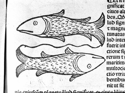 Les Pisces - in Treatise by Johannes Angeli De Magnisconnectionibue annorum revolutionibus ac eorum pefectionibus. Augsburg, Erhard Ratdolt by German School