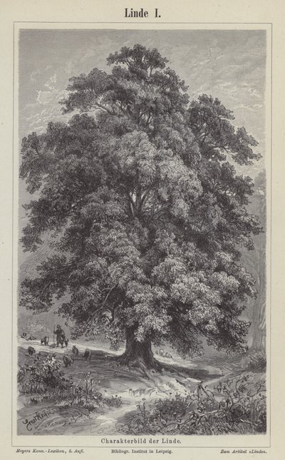 Linden tree by German School