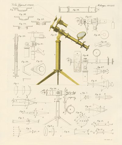 Magnifying Glass and Microscopical Amusements by German School