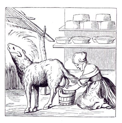 Manufacture of Cheeses in Switzerland, after a Woodcut in Cosmographie Universelle of Munster, Published 1549 by German School