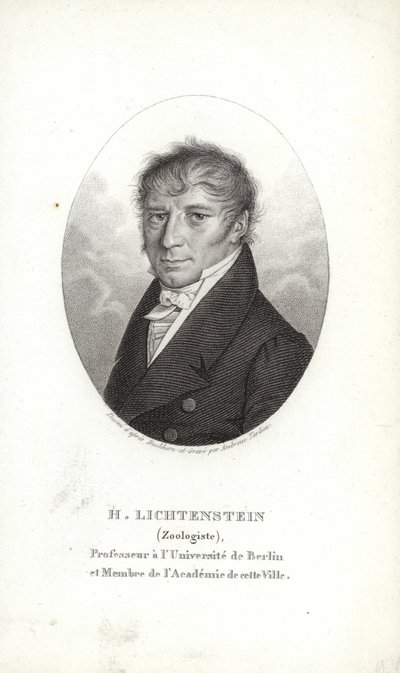 Martin Lichtenstein by German School