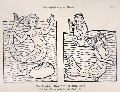 Mermaid and Merman from Jacob Meydenbach