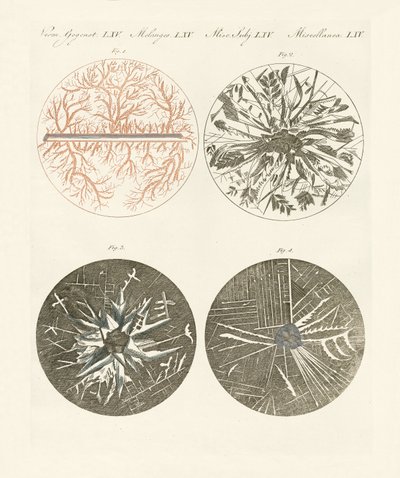 Microscopic View of the Crystallization of Metal by German School