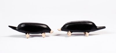 Moles from a Noah