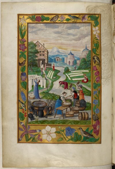 Women engaged in laundry, the Fifth Treatise, from 