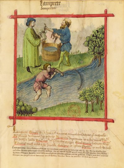 Fishing for Eels, from Tacuinum Sanitatis by German School