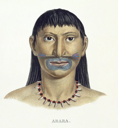Native Man of the Arara Tribe with Blue Face Paint, from Atlas of a Journey in Brazil by Johann Baptist von Spix and Karl Friedrich Philipp Martius, published c.1835-50 by German School