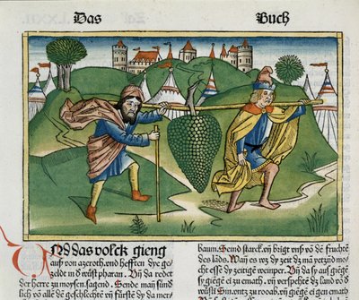Numbers 13:23 The Grapes of Eschol, from the Nuremberg Bible by German School