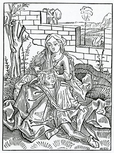 Of folys that can nat kepe secrete theyr owne counsell, illustration from Alexander Barclay