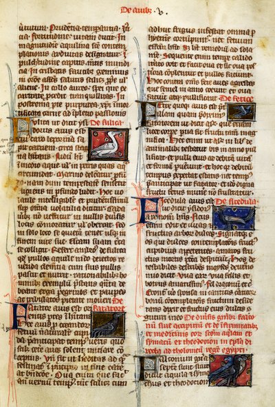 Page from De Natura Rerum on birds by German School