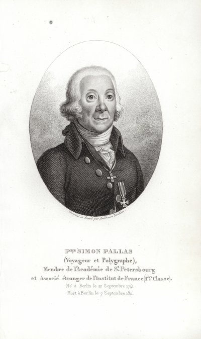 Peter Simon Pallas by German School