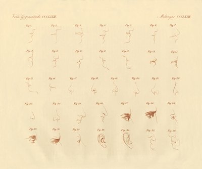 Physionomics Expression of the Sense Organ and the Connected Parts by German School