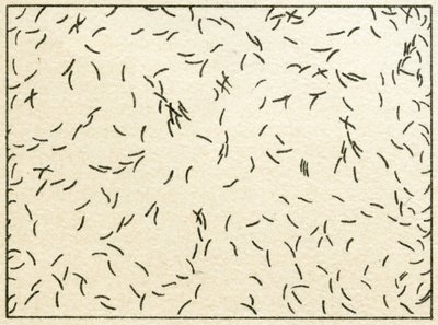 Sample of bacteria in tapwater by German School