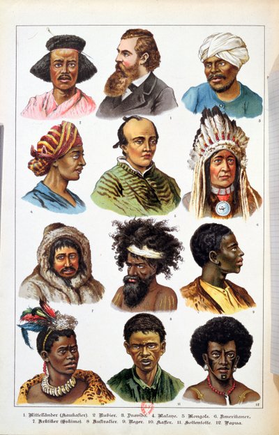 The Different Human Races, from Natural History of the Animal Kingdom by Gotthelf Heinrich von Schubert, 1861 by German School