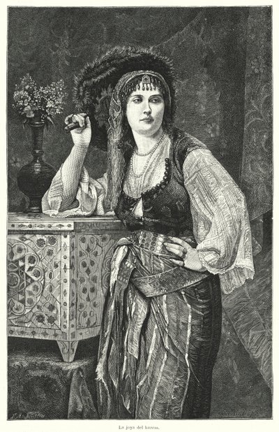 The Jewel of the Harem by German School
