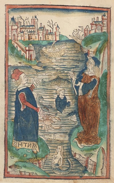 The Kingdom of Fish, Illustration from Hortus Sanitatis, 1491 by German School