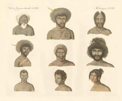 The Papuans by German School