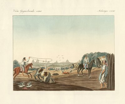 The South of Matadero, One of the Public Slaughterhouses of Buenos Aires by German School