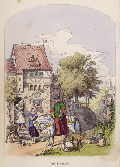 The Starling by German School