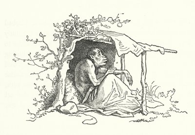 The Two Apes by German School