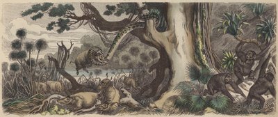 The coast of Guinea by German School