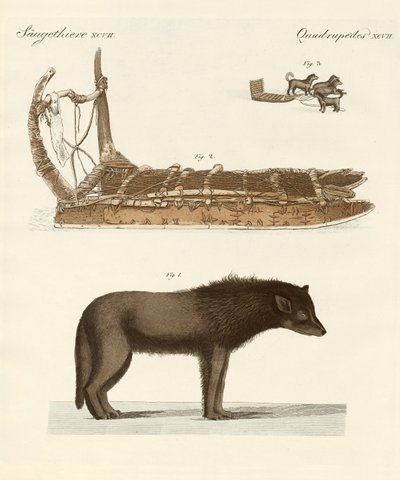 The Dog of the Baffin-Bay by German School