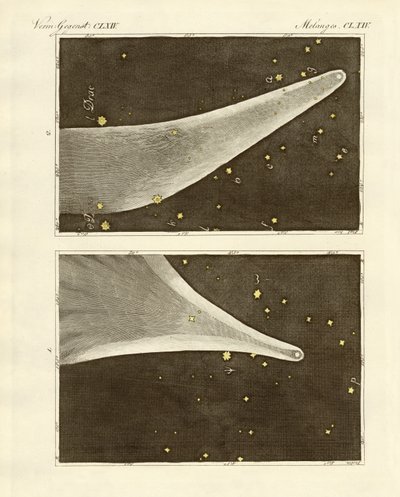 The Great Comet of the Year 1811 by German School