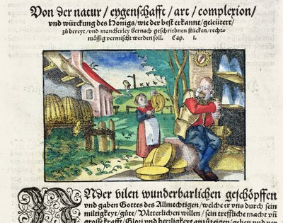 The healing and therapeutic uses of honey in Medicine, illustration from a German treatise on medicines published in Strasbourg in 1573 by German School