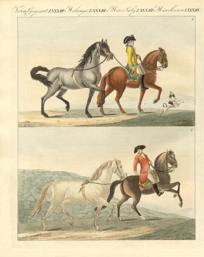 The Horse with its Different Kinds by German School