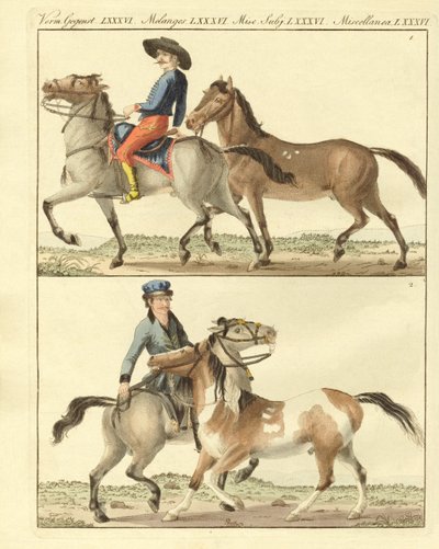 The Horse with its Different Kinds by German School