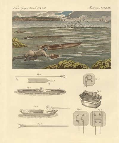 The Hunting of Waterbirds on the Coasts of England by German School