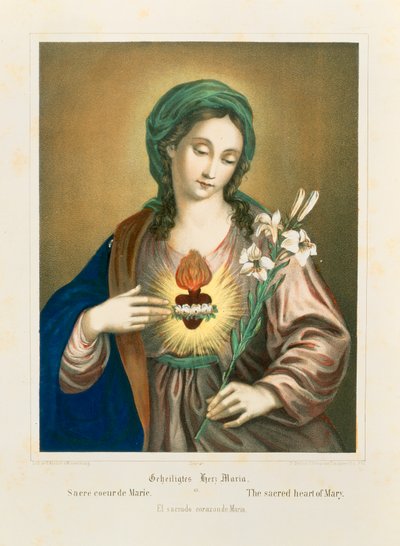 The Sacred Heart of Mary by German School