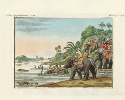 Tiger Hunting on an Indian River by German School