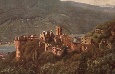 View of Heidelberg Castle from the Molkenkur by German School