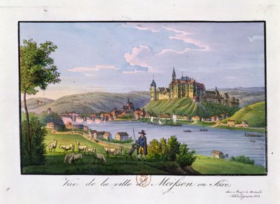View of the town of Meissen, birthplace of Christian Samuel Hannemann by German School