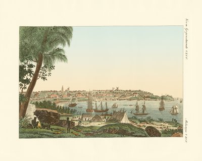Views of the City of Sydney by German School