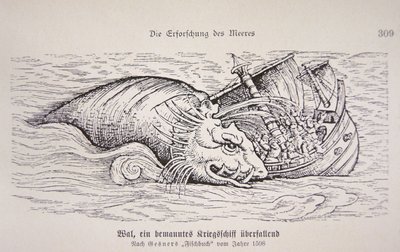Whale attacking a ship by German School