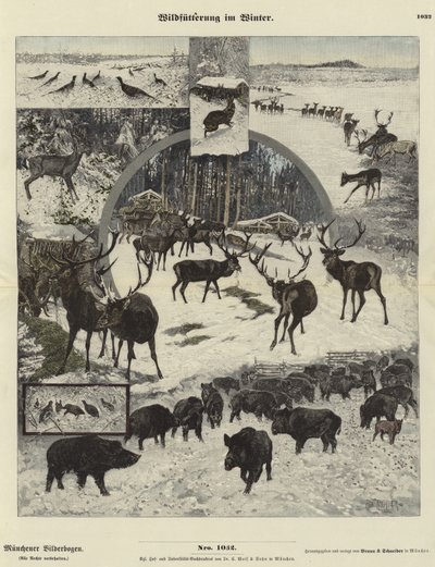 Wildlife Feeding in Winter by German School
