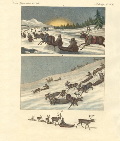 Winter trips in Lapland by German School