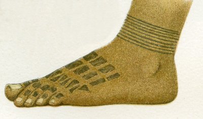 Example of Dayak Foot Tattoo Designs, Borneo, 1894 by German School