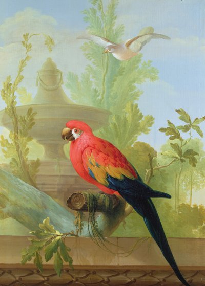 A Macaw and a Dove in an ornamental Garden, 1772 by Gerrit van den Heuvel
