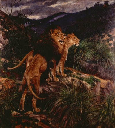 Lions Stalking by Geza Vastagh