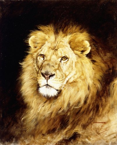 The Head of a Lion by Geza Vastagh