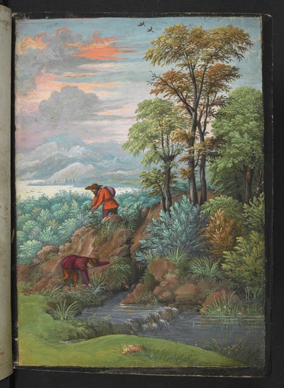 Two men looking for plants in a wooded area, from 