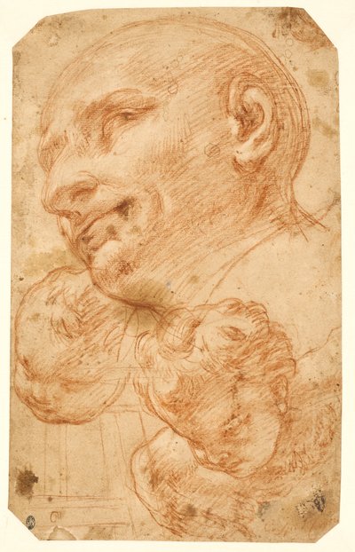 Heads of St Charles Borromeo and Two Cherubs by Giacinto Brandi