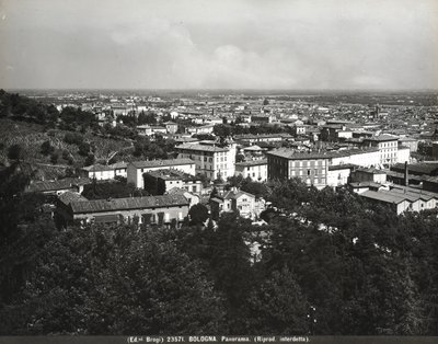 Panorama of Bologna with Some Factories and a Hill by Giacomo Brogi