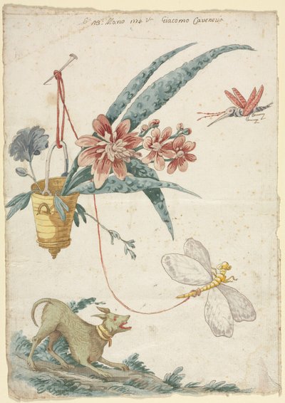 Floral Design with Dog and Insects by Giacomo Cavenezia