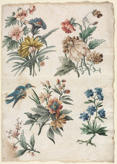 Floral Designs with a Blue Bird by Giacomo Cavenezia