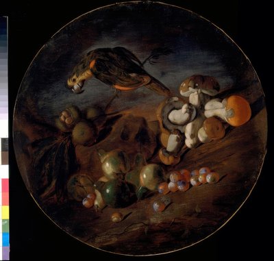 Still Life with Mushrooms, Fruits, and Parrot by Giacomo Fardella de Calvello
